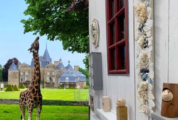visite zoo bourbansais et expostion artistes meillac