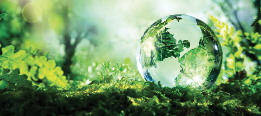 5 juin, la journee mondiale de l'environnement